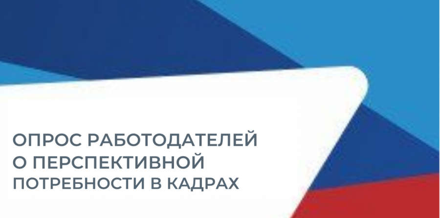 Всероссийский опрос работодателей о перспективной потребности в кадрах на цифровой платформе ФГБУ "ВНИИ труда" Минтруда России