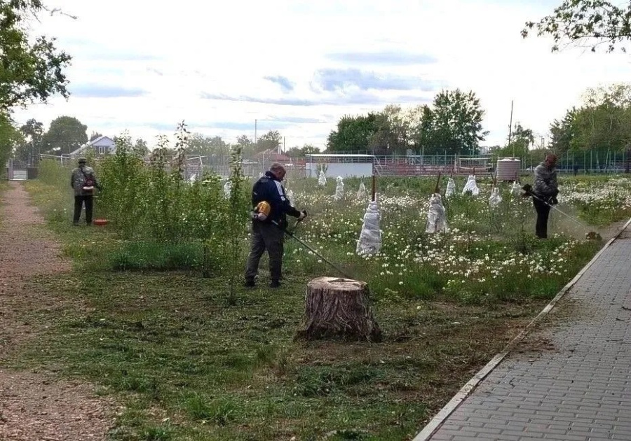 С апреля в Парке культуры и отдыха идут работы по благоустройству территории. За каждым участком закреплена организация