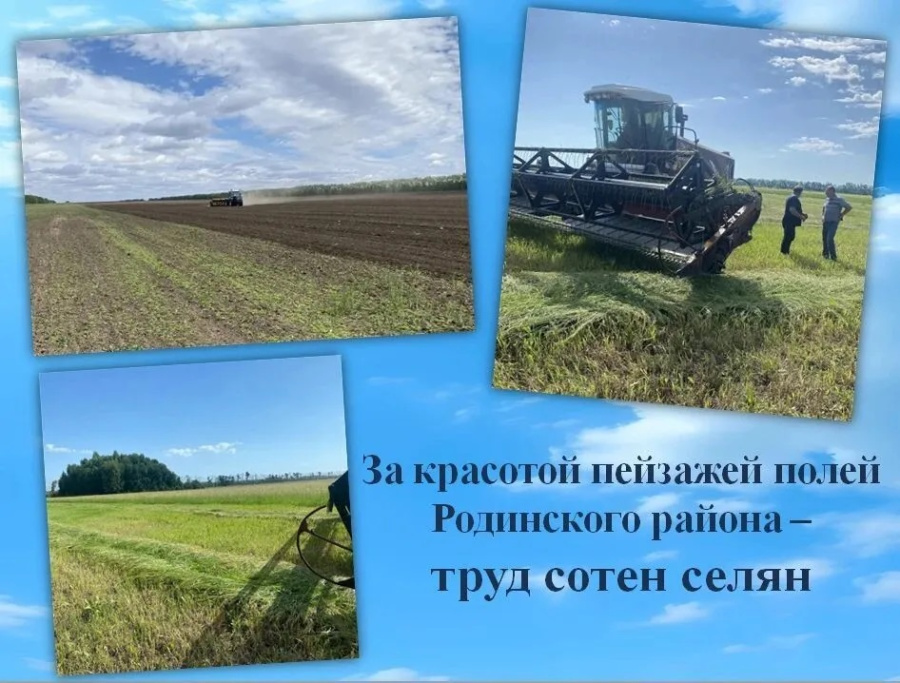 За красотой пейзажей полей Родинского района – труд сотен селян