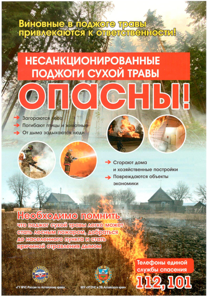 20001.jpg 20001.jpg