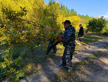 Благодарим коллективы Администрации Родинского района, образовательных учреждений, предприятий, спортивной школы и неравнодушных жителей муниципалитета за участие в субботнике в елочном массиве